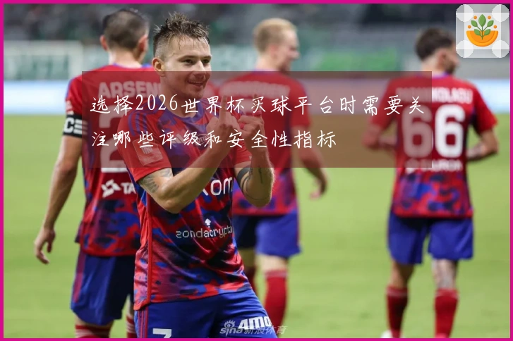选择2026世界杯买球平台时需要关注哪些评级和安全性指标