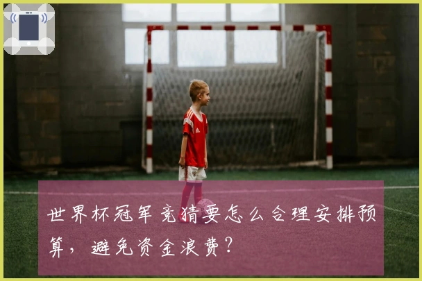 世界杯冠军竞猜要怎么合理安排预算，避免资金浪费？